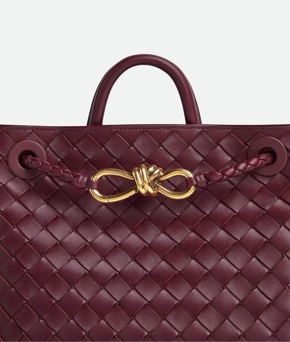 BOTTEGA VENETA Women Small Andiamo Barolo 766014VCPP12273