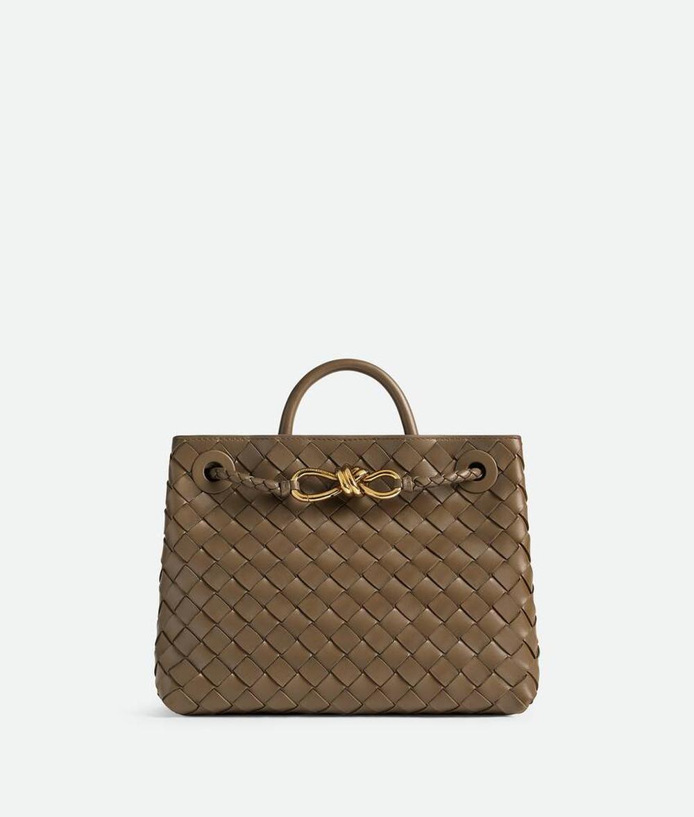 BOTTEGA VENETA Women Small Andiamo Pinecone 766014VCPP12383