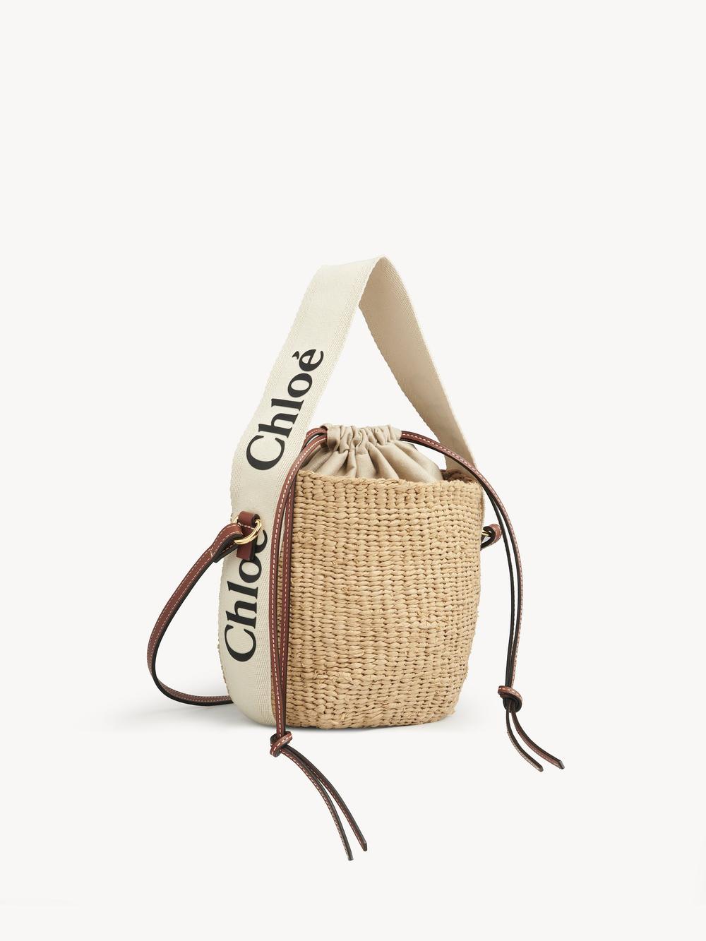 CHLOE Women Small Woody basket in natural fibers White CHC22SS381G55101